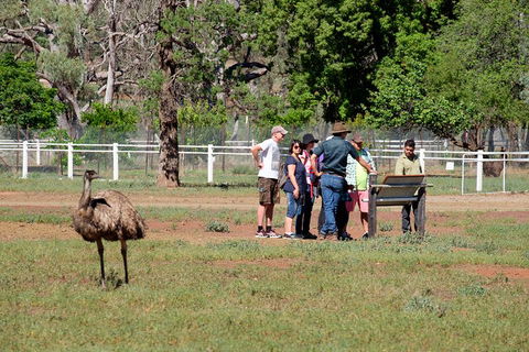 Yura Udnyu - Our Culture, Your Culture (Aboriginal Cultural Walk) - Accommodation NT 1