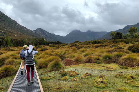 3 Day Tasmanian Wild West Coast Tour From Hobart To Launceston - Accommodation NT 3