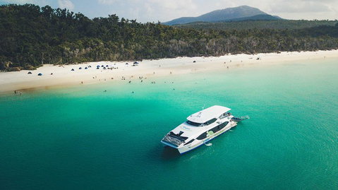 Whitehaven Beach And Daydream Island Cruise - Accommodation NT 1