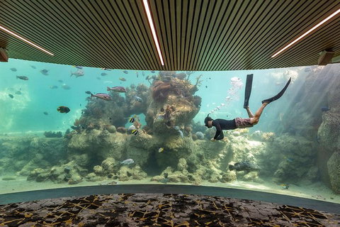 Whitehaven Beach And Daydream Island Cruise - Accommodation NT 4