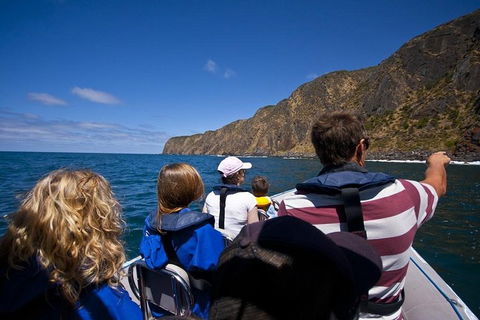 Seal Island Boat Tour From Victor Harbor - Accommodation NT 0