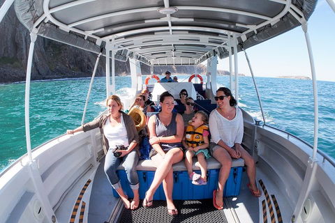 Seal Island Boat Tour From Victor Harbor - Accommodation NT 1