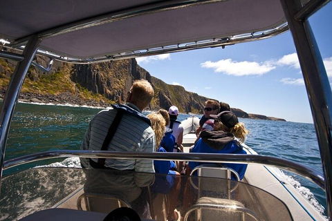 Seal Island Boat Tour From Victor Harbor - Accommodation NT 2