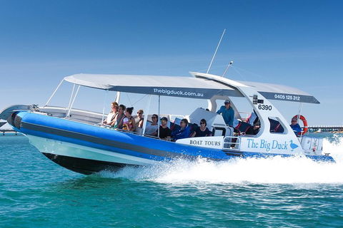 Seal Island Boat Tour From Victor Harbor - Accommodation NT 3