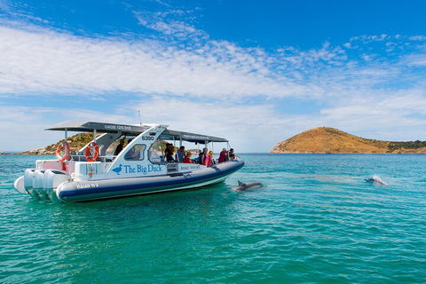 Southern Ocean Adventure From Victor Harbor - Accommodation NT 1