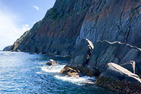 Southern Ocean Adventure From Victor Harbor - Accommodation NT 3