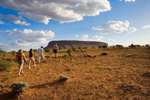 Mount Conner 4WD Small Group Tour From Ayers Rock Including Dinner - Accommodation NT 0