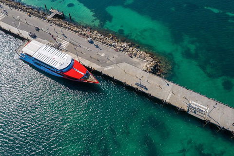 Rottnest Island Round-Trip Ferry From Perth Or Fremantle - Accommodation NT 1