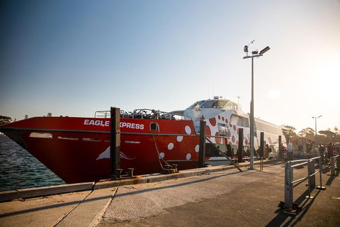 Rottnest Island Round-Trip Ferry From Perth Or Fremantle - Accommodation NT 2