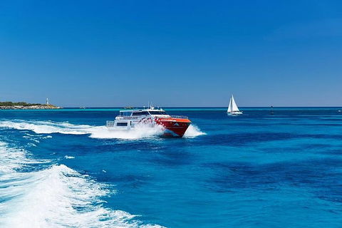 Rottnest Island Round-Trip Ferry From Perth Or Fremantle - Accommodation NT 4
