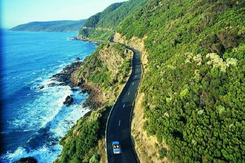Melbourne Super Saver: Great Ocean Road + Mornington Peninsula + Attraction Pass - Accommodation NT 0