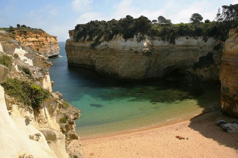 Melbourne Super Saver: Great Ocean Road + Mornington Peninsula + Attraction Pass - Accommodation NT 3