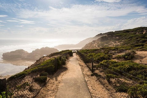 Melbourne Super Saver: Great Ocean Road + Mornington Peninsula + Attraction Pass - Accommodation NT 4