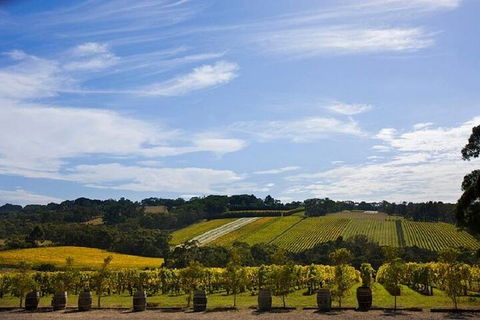 Melbourne Super Saver: Great Ocean Road + Mornington Peninsula + Attraction Pass - Accommodation NT 5