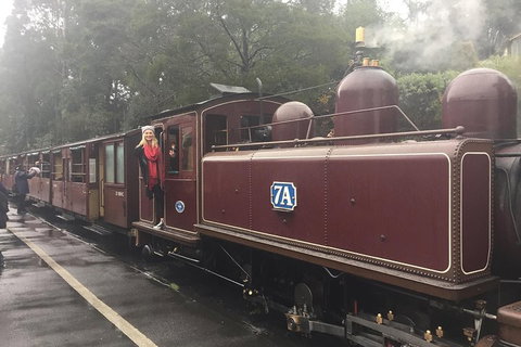 Puffing Billy, Moonlit Sanctuary & Penguins Day Tour - Accommodation NT 4