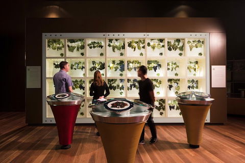 Australian Wine Discovery Tour Ticket - Accommodation NT 3