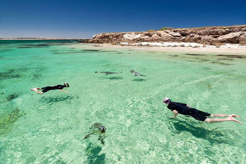 10 Day Adelaide To Perth Private Tour - The Great Australian Wilderness Journey - Accommodation NT 1
