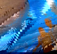 Dive with Sharks at AQWA - Accommodation NT