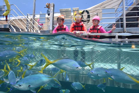 Outer Reef Pontoon Experience From Cairns - Accommodation NT 0