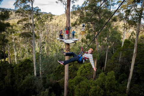 Hollybank Wilderness Adventure - Zipline Tours - Accommodation NT 0