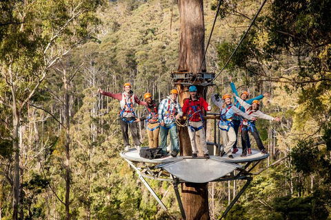 Hollybank Wilderness Adventure - Zipline Tours - Accommodation NT 1