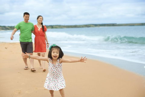 Phillip Island Penguin Parade Day Trip With Koala Conservation Reserve Visit - Accommodation NT 5