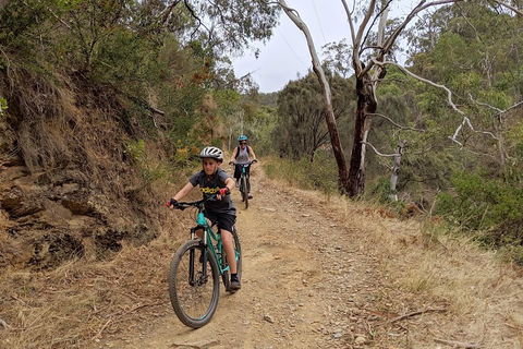 Mount Lofty Descent Bike Tour From Adelaide - Accommodation NT 0