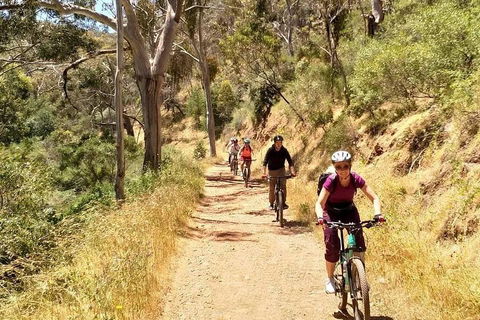 Mount Lofty Descent Bike Tour From Adelaide - Accommodation NT 3