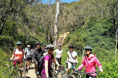 Mount Lofty Descent Bike Tour From Adelaide - Accommodation NT 5