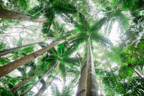 Fraser Explorer K'gari 2-Day Tour - NT Tourism 2