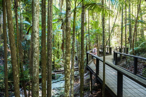 All-Inclusive Fraser Island Day Tour - NT Tourism 5