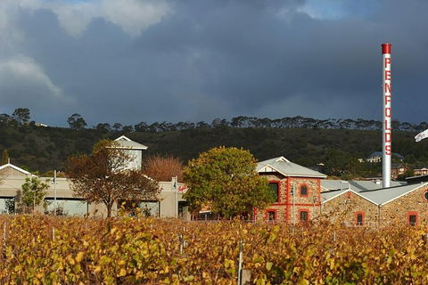 Penfolds Magill Estate Iconic Experience - Accommodation NT 3