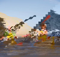 Kangaroo Island Self-Guided Kayaking on the Harriet River - Accommodation NT