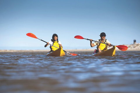Kangaroo Island Self-Guided Kayaking On The Harriet River - Accommodation NT 2