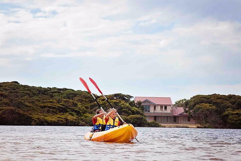Kangaroo Island Self-Guided Kayaking On The Harriet River - Accommodation NT 5
