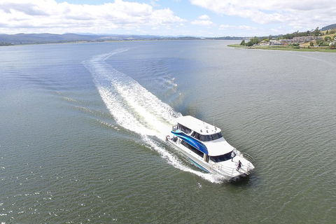 2.5 Hour Morning Discovery Cruise Including Sailing Into The Cataract Gorge - Accommodation NT 2