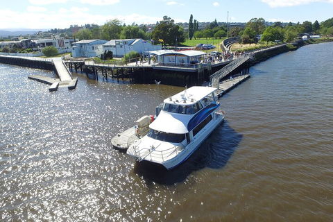2.5 Hour Morning Discovery Cruise Including Sailing Into The Cataract Gorge - Accommodation NT 3
