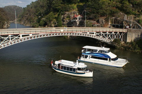 2.5 Hour Morning Discovery Cruise Including Sailing Into The Cataract Gorge - Accommodation NT 5