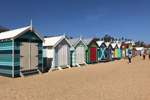 Phillip Island Penguin Parade, Brighton Bathing Boxes And Wildlife Park Tour - Accommodation NT 3