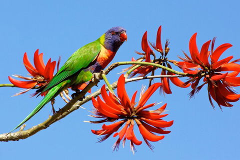 Half Day Perth & Fremantle Highlights - Accommodation NT 2