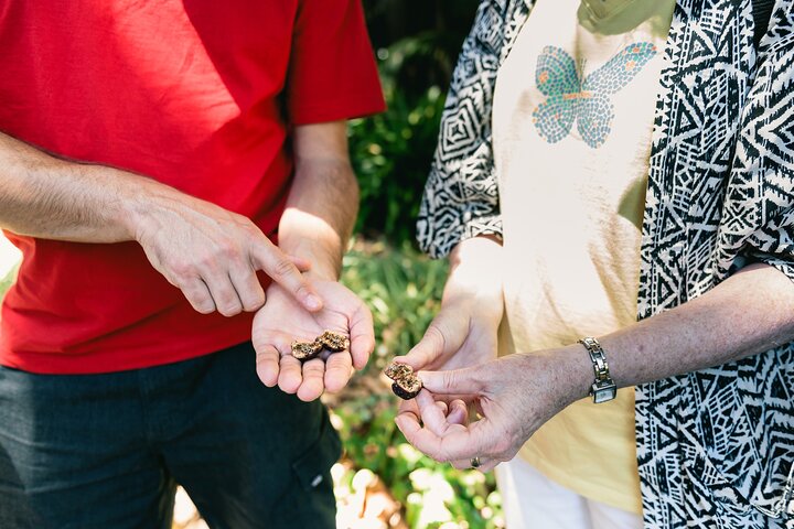 Perth WA Accommodation NT