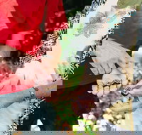 Perth Arcades and Laneways Walking Tour - Accommodation NT